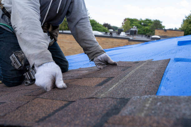 Best Storm Damage Roof Repair  in Torrington, CT